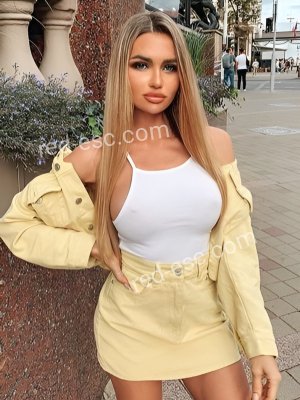 Лера — Электрогорск